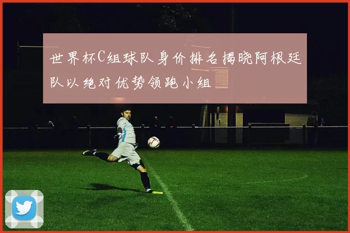 世界杯C组球队身价排名揭晓阿根廷队以绝对优势领跑小组
