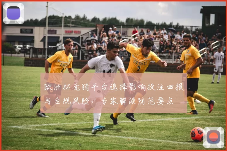 欧洲杯竞猜平台选择影响投注回报与合规风险,专家解读防范要点