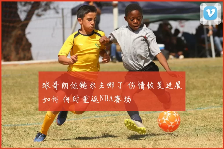 球哥朗佐鲍尔去哪了 伤情恢复进展如何 何时重返NBA赛场