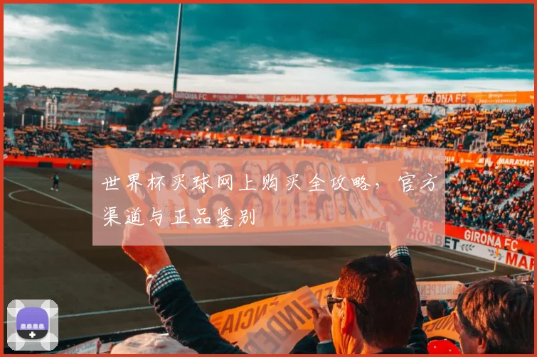 世界杯买球网上购买全攻略,官方渠道与正品鉴别