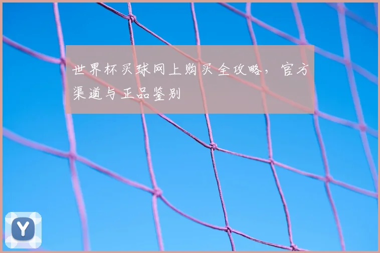 世界杯买球网上购买全攻略,官方渠道与正品鉴别