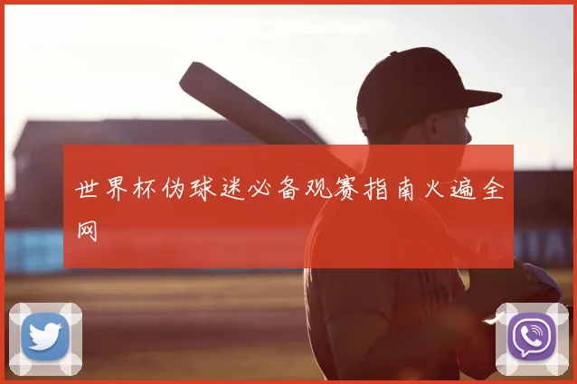 世界杯伪球迷必备观赛指南火遍全网